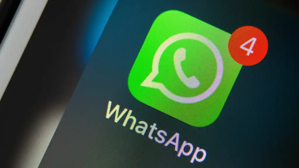 Why would you recommend WhatsApp Business for your organization?